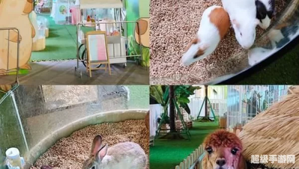 口袋动物园