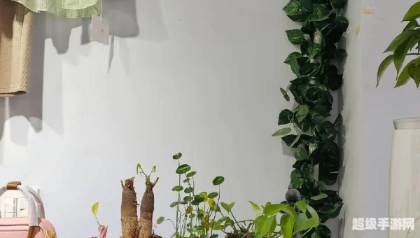 时装店经营