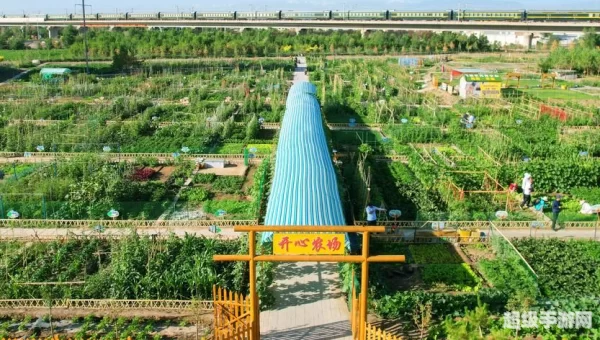 欢乐农场