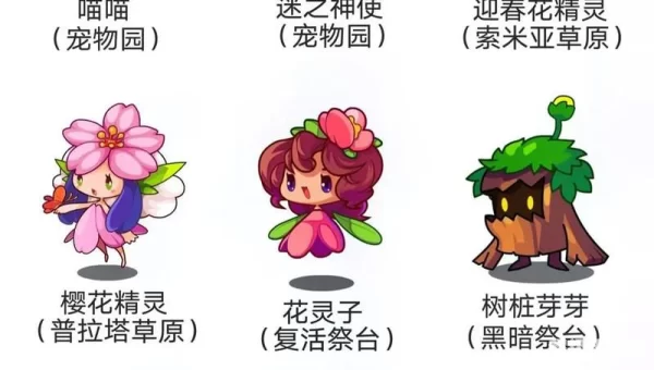 稀有宠物
