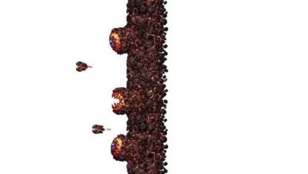 泰拉瑞亚肉山