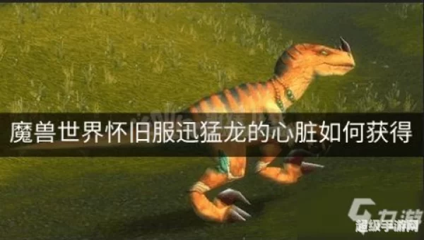 迅猛龙肉