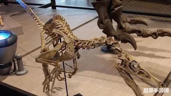 迅猛龙肉