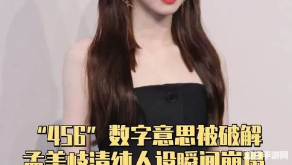 孟美岐456什么意思