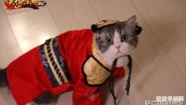 教主猫