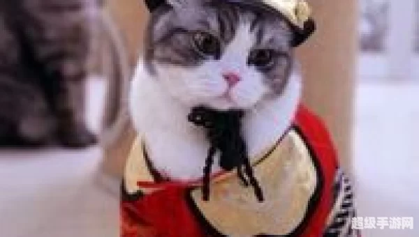 教主猫